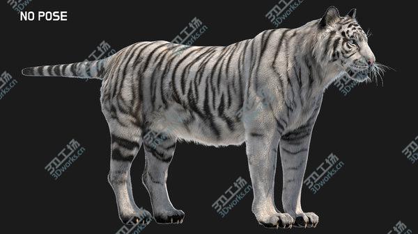 images/goods_img/20210312/3D White Tiger Fur/4.jpg